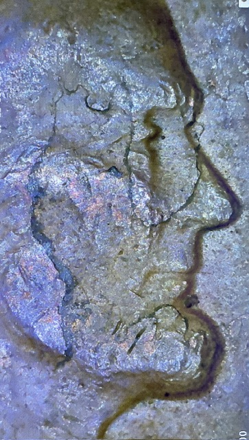 1956-D-Wheat-Penny-Cool-Face-Lamination-Error