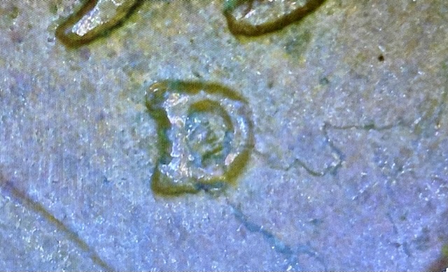 1957-D-Wheat-Penny-Lamination-Error
