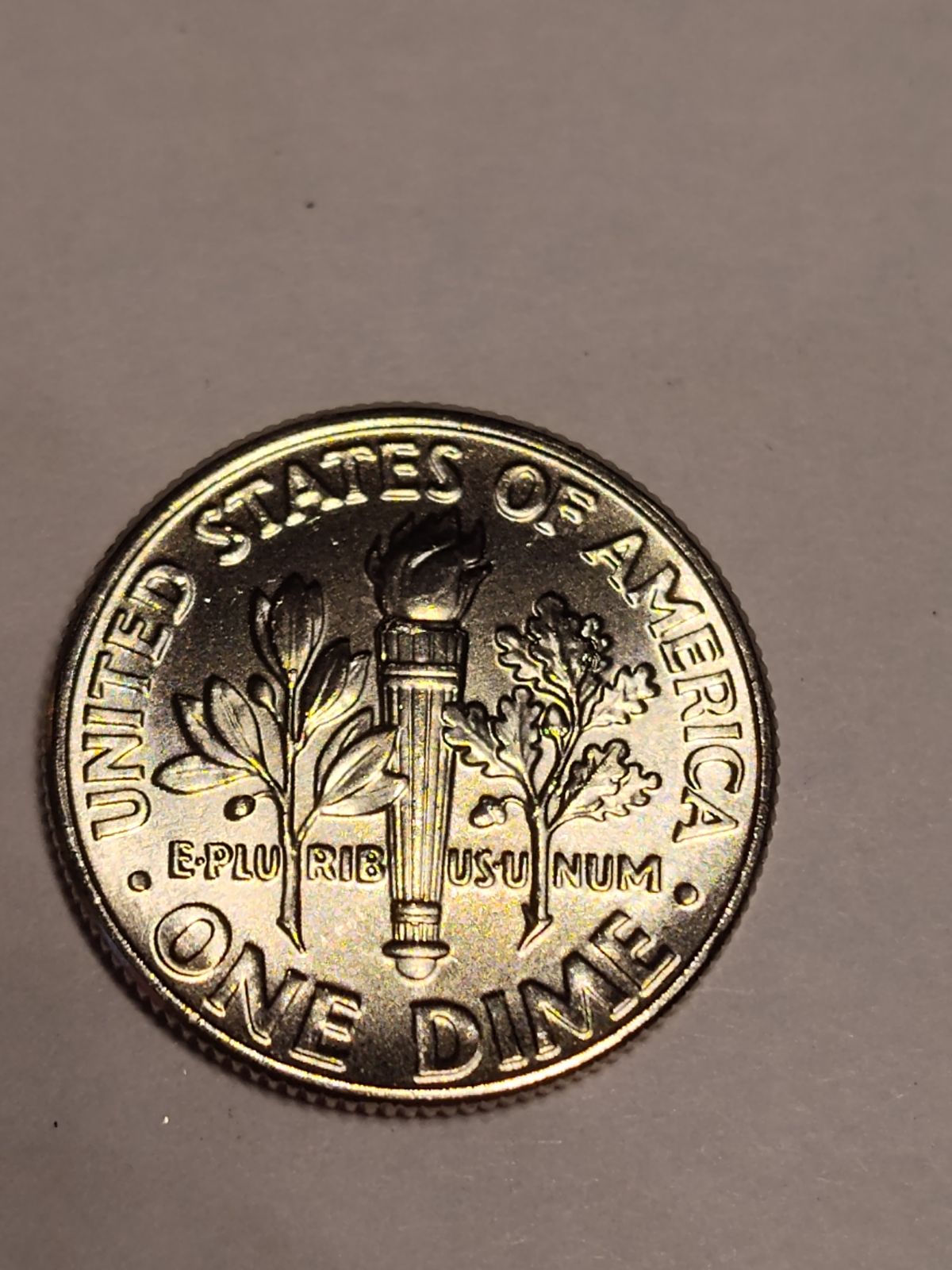 2023-P-Roosevelt-Dimes-Chip-Or-Idb