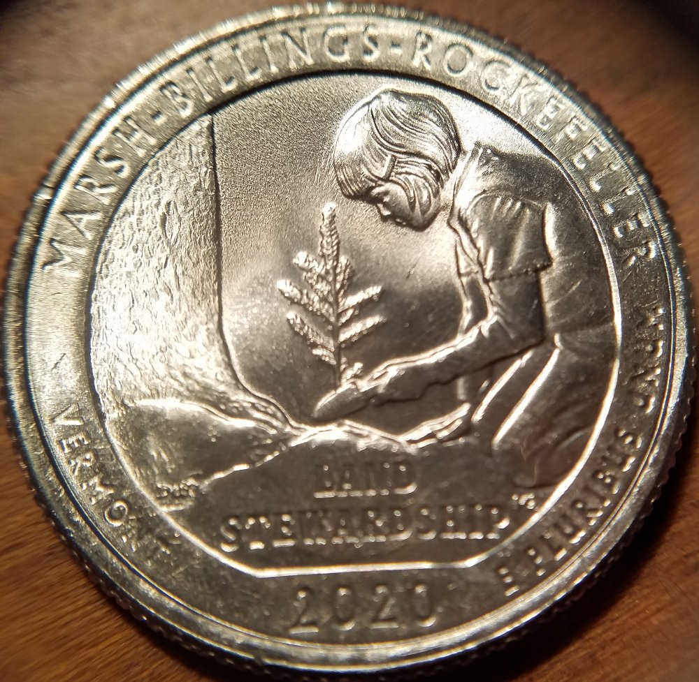 2020-P-Quarter-Possible-Strike-Through?