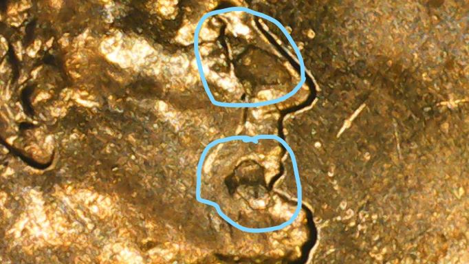 2022-Penny---Are-These-Errors?