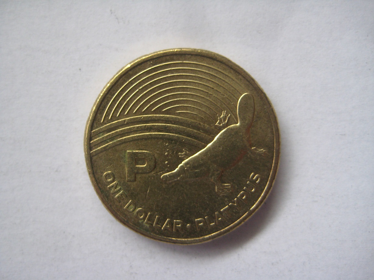 Task---To-Noodle-A-Complete-Set-Of-The-Great-Aussie-Coin-Hunt--'A'-To-'Z'