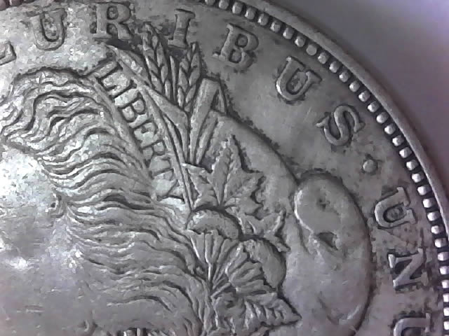 1921-D-Morgan-Silver-Dollar---Grade-Please?