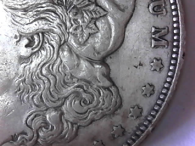 1921-D-Morgan-Silver-Dollar---Grade-Please?