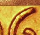 1986-D-Quarter---Error-On-Reverse?
