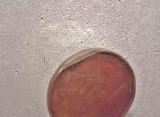 1967-Two-Cent-Coin-With-SD