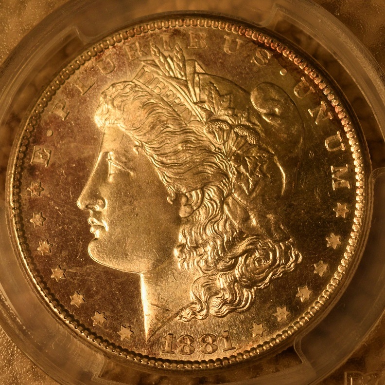 Help!-Is-This-1881-Dollar-Pl?