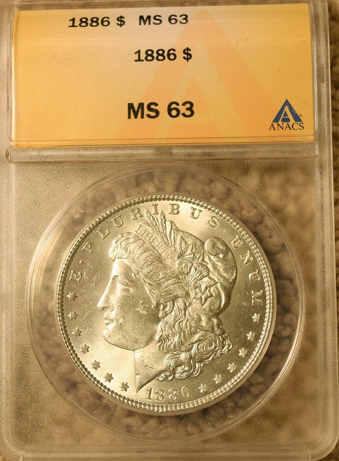 Some-Morgan-Dollar-Pick-Ups.-How-Did-I-Do?