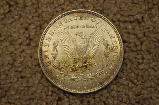 Need-Help-On-Whether-To-Dip-My-Morgan-Dollar!