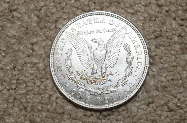Need-Help-On-Whether-To-Dip-My-Morgan-Dollar!