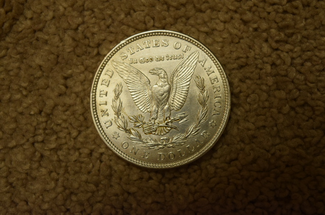 Need-Help-On-Whether-To-Dip-My-Morgan-Dollar!