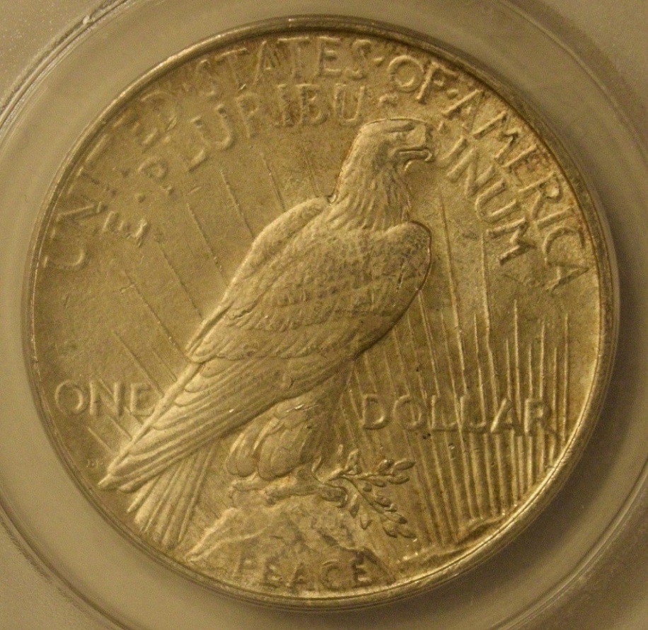 1925-Peace-Dollar-For-Grading
