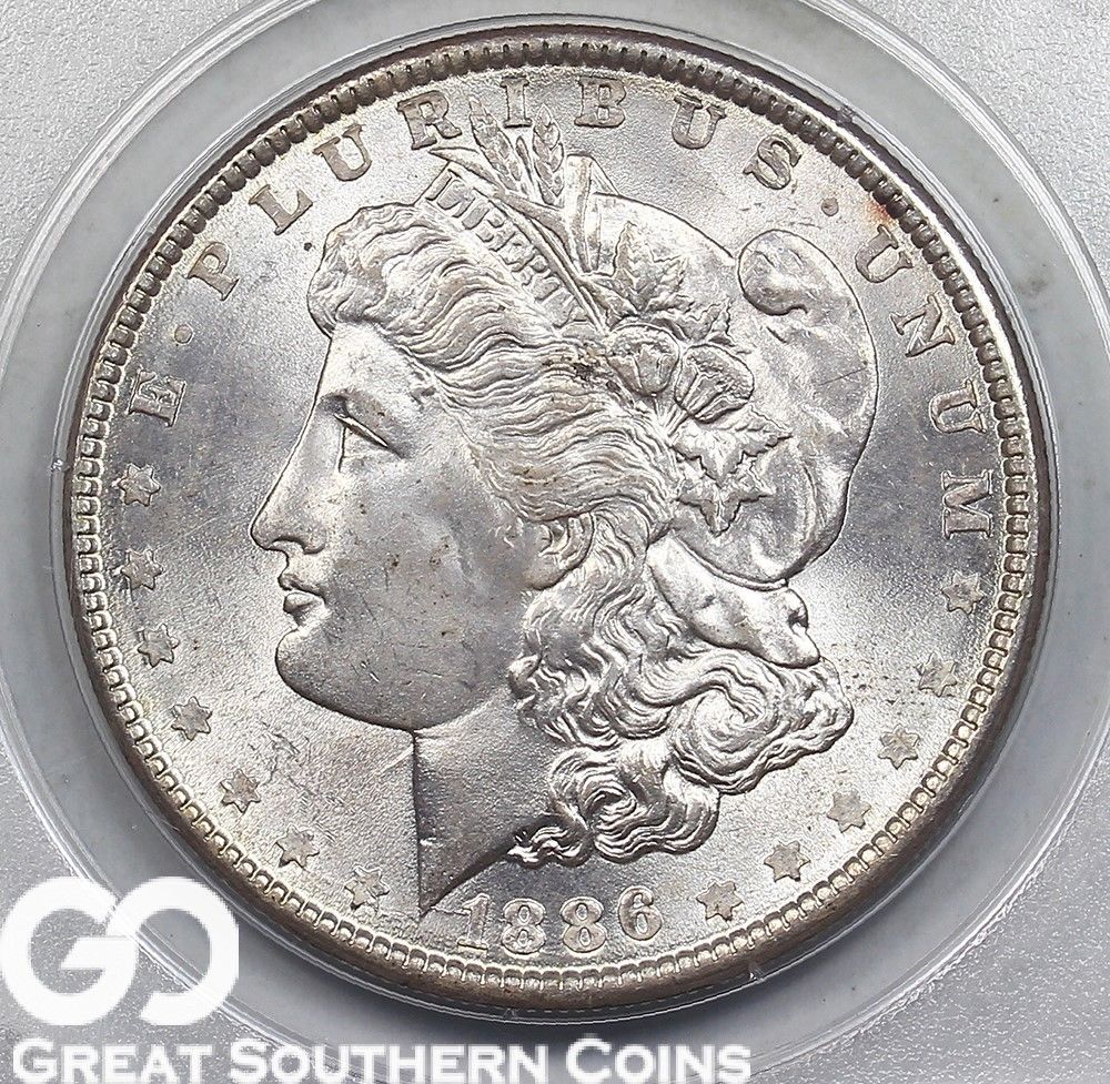Need-Help-On-Die-Break-On-1886-Morgan-Dollar!-VAM-Help!