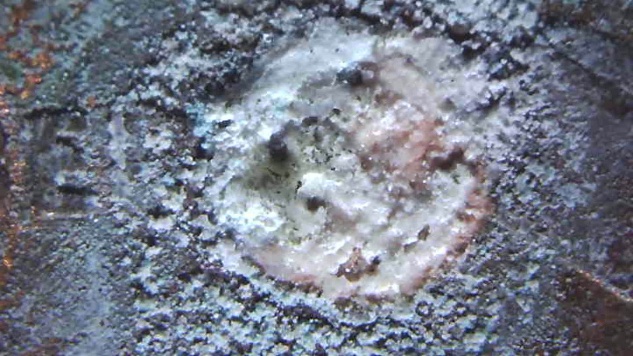 1998-D-LMC-Zinc-Storm-Cat-4?