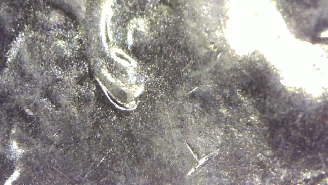 2019-D-LSC-Doubled-Ear?