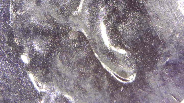 2019-D-LSC-Doubled-Ear?