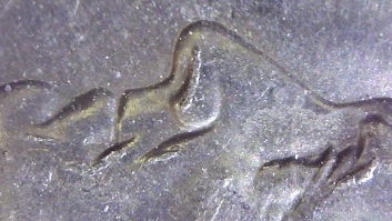 2007-D-Dime-With-Die-Chips
