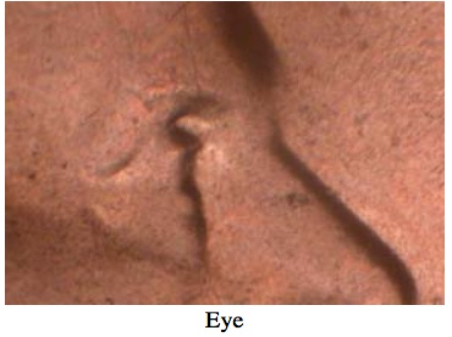 2015-D-LSC-Is-This-DDO-002?