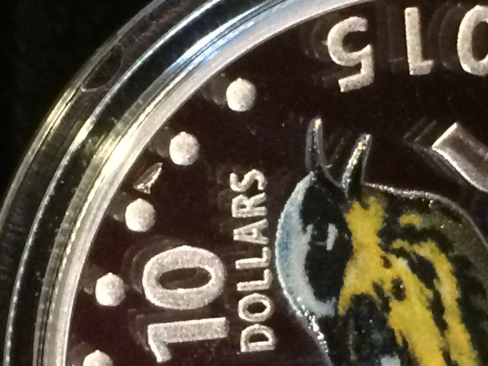 Are-Error-NCLT-Coins-Valuable-?