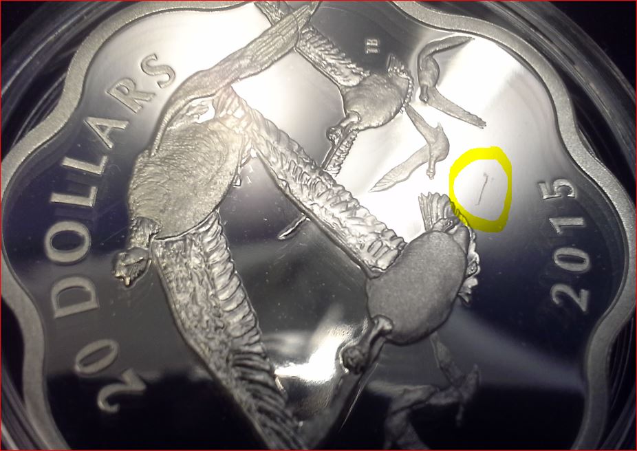 Hair-On-RCM-Coin?