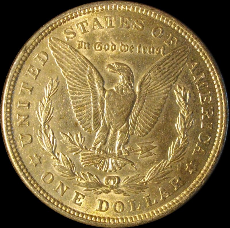28-Days-Of-Morgans