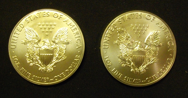 2011-25th-Anniversary-Silver-Eagle