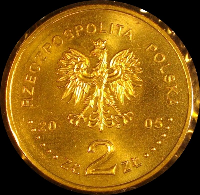 Some-Polish-Favorites-From-My-Collection