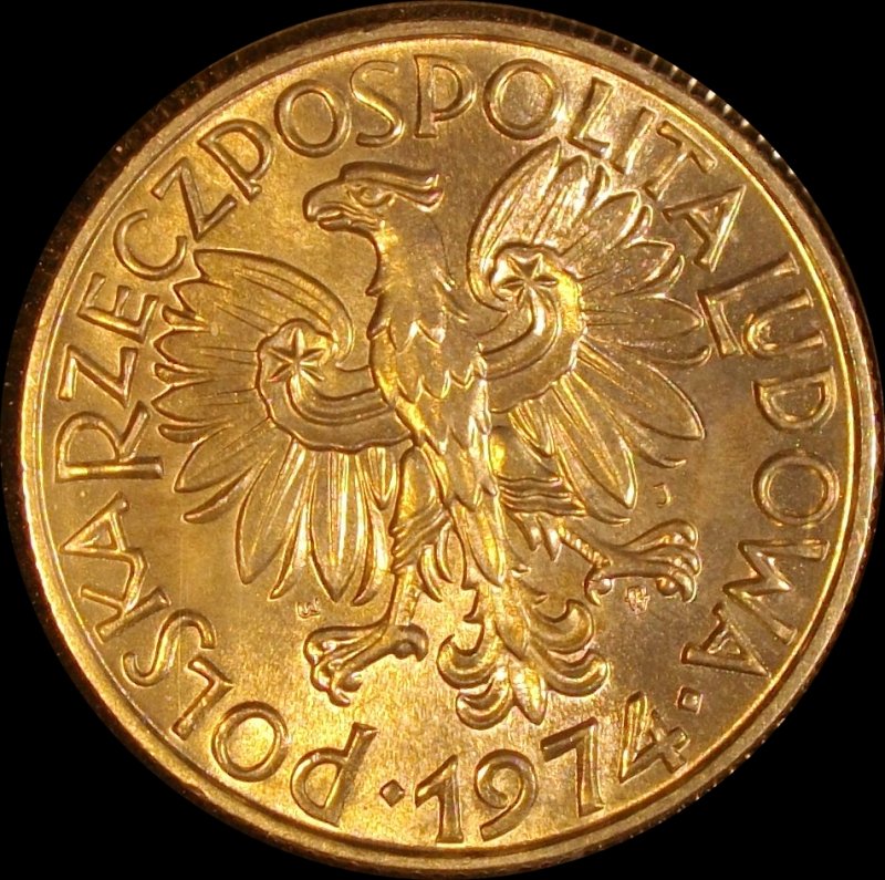 Some-Polish-Favorites-From-My-Collection