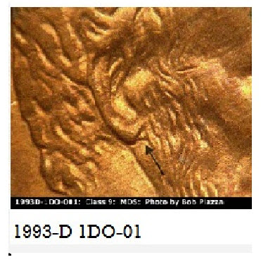 Doubled-Ear-On-A-Lincoln-Cent-Penny