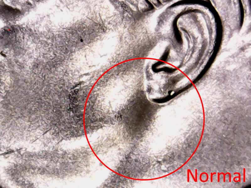 2020-P-Roosie-Courious-Raised-Line-Under-Ear---Help-Please