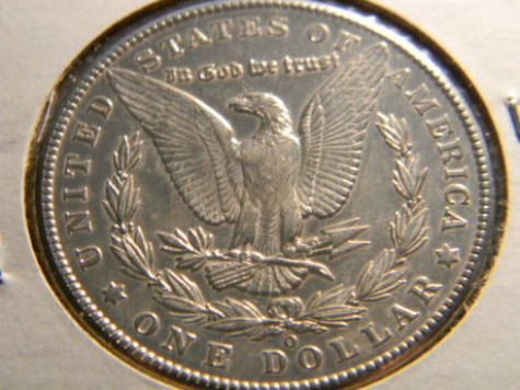 Morgans-For-Grade.