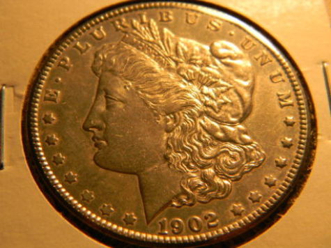 Morgans-For-Grade.
