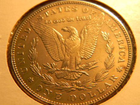 Morgans-For-Grade.