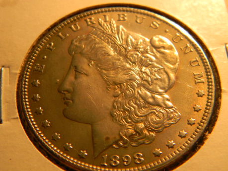 Morgans-For-Grade.