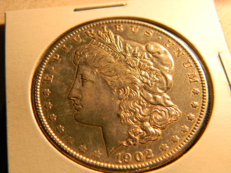 Morgans-For-Grade.
