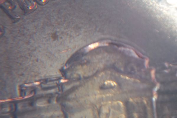 2010-Nickel-Error?