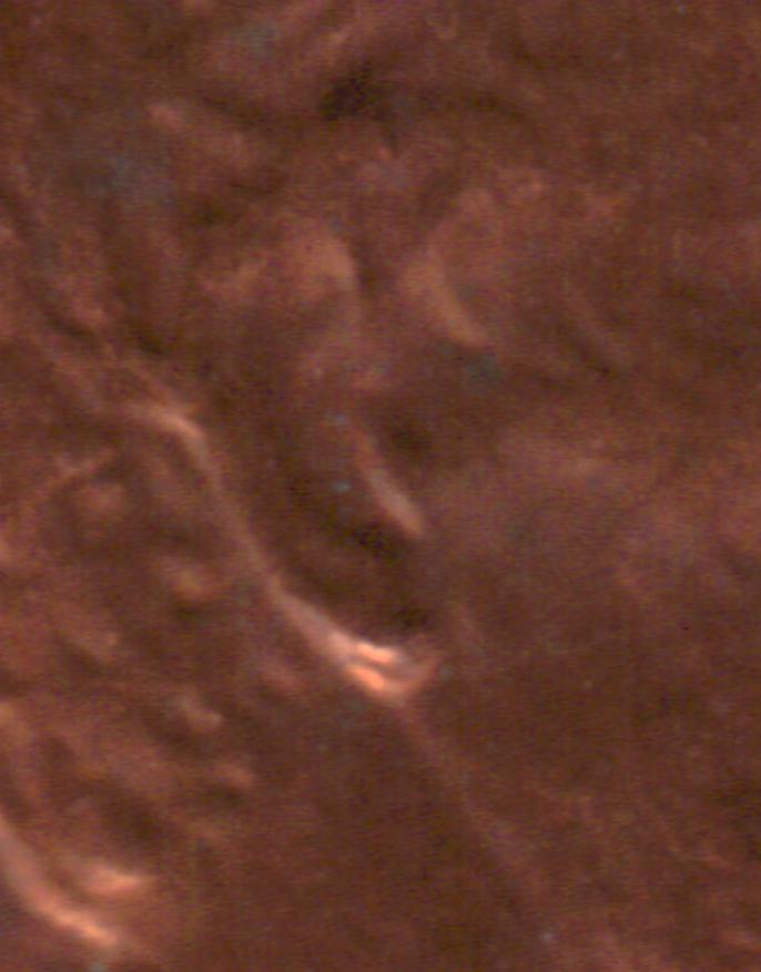 84-D-LMC-Doubled-Ear?