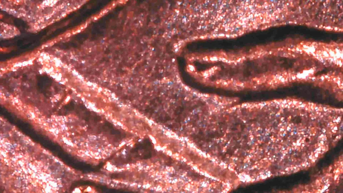 2009-P-Lincoln-Possible-Extra-
