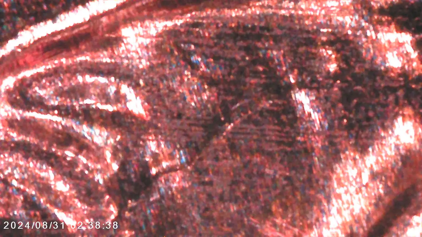 2009-P-Lincoln-Formative-Years-DDR-And-Die-Crack-On-Forehead