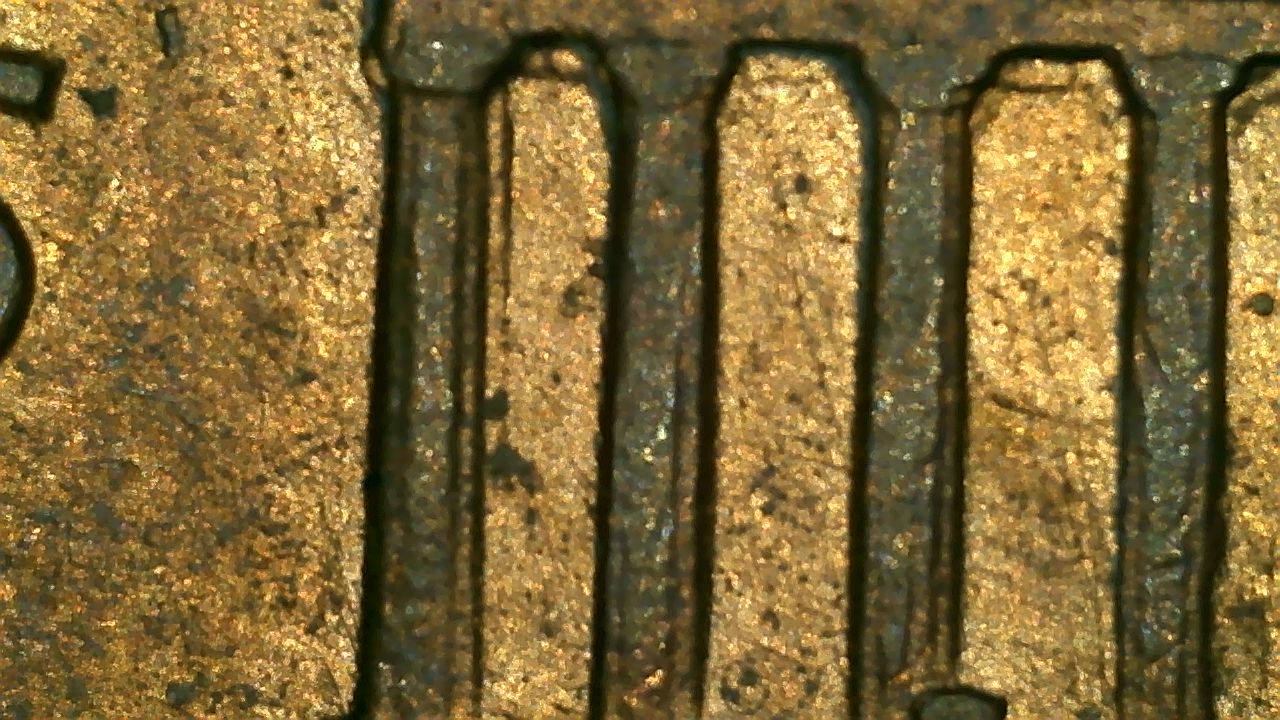Multiple-Coins-That-May-Be-Something?
