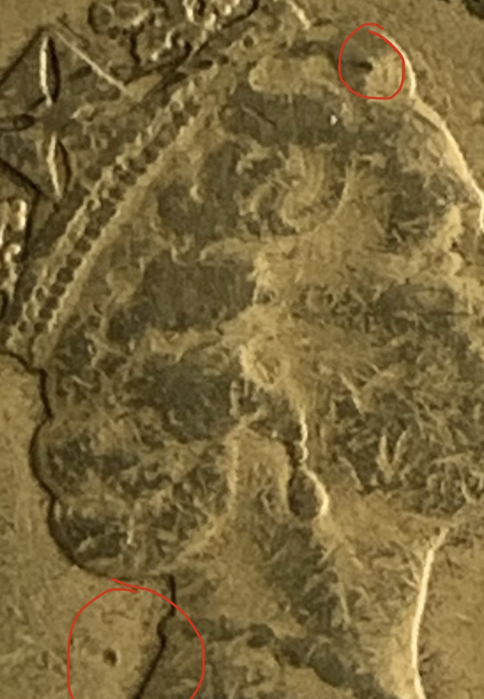 Cud-Or-PMD?-1988-Dollar-2.
