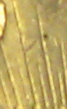 Grade-This-1923-S-Peace-Dollar