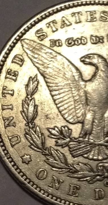 Small-Collection-Of-Morgan/Peace-Dollars-For-Grading.