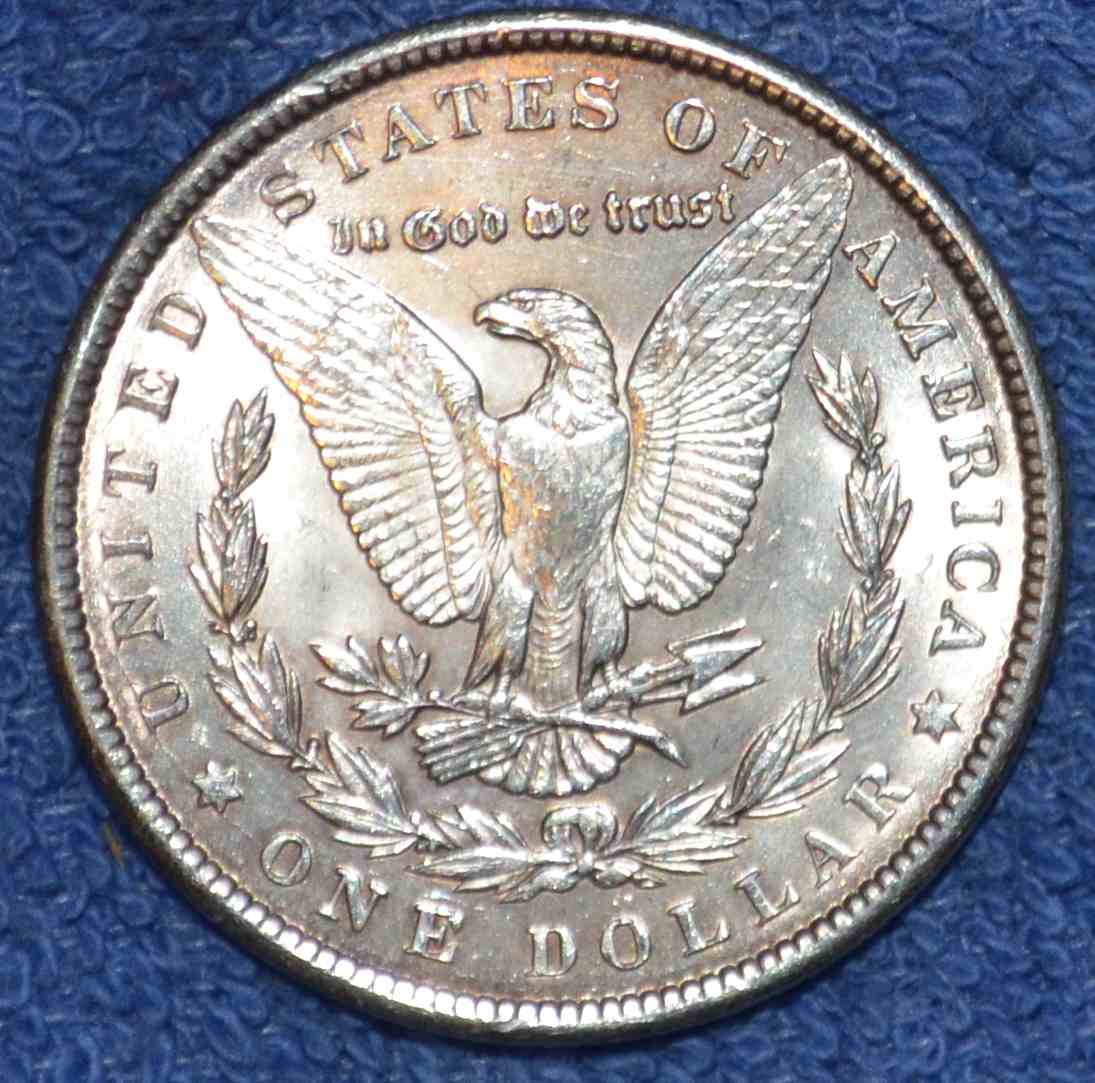 1900-P-Morgan-Wondering-What-A-Possible-Grade-Would-Be.