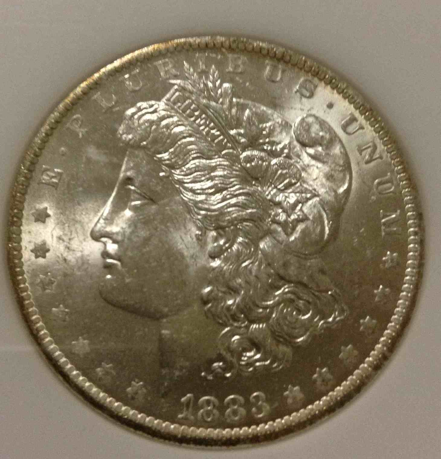 Morgan-Dollar-Strike-Through-And-Missing-Portion-Of-E?