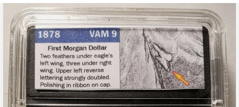 1878-8TF-Morgan---VAM9A