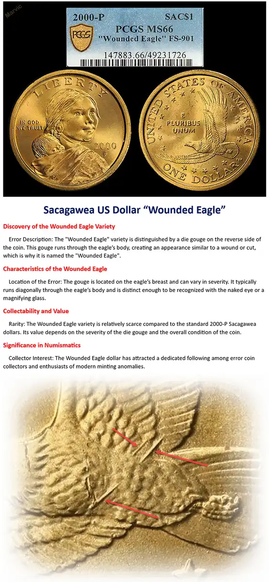 Is-This-Sac-Wounded-Eagle-Dollar-Real-Or-Counterfeit/Fake?