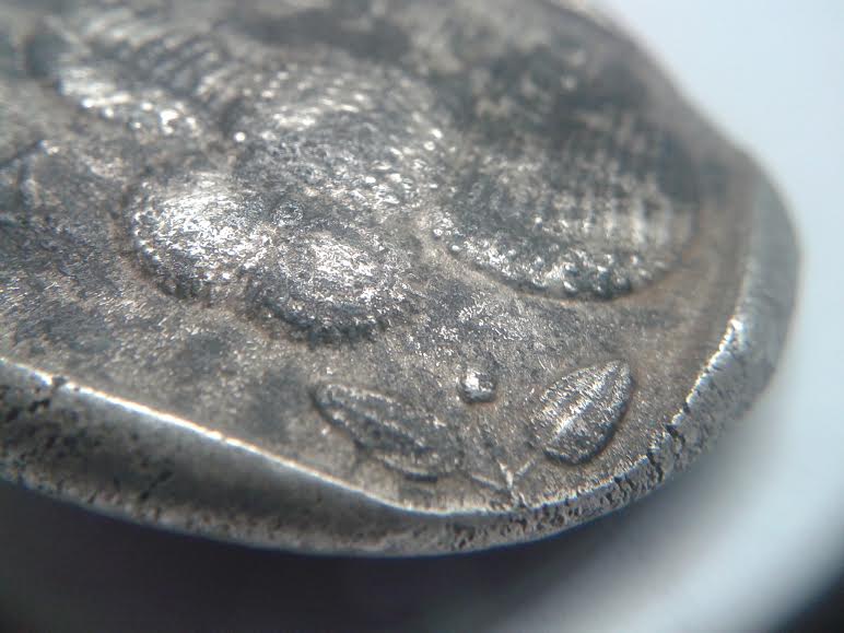 Is-This-Coin-Real?