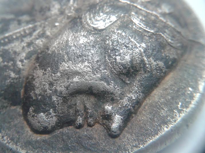 Is-This-Coin-Real?