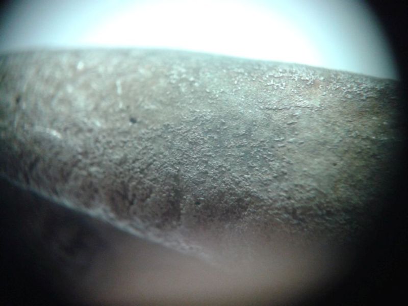 Can-You-ID-This-Greek?-Coin?